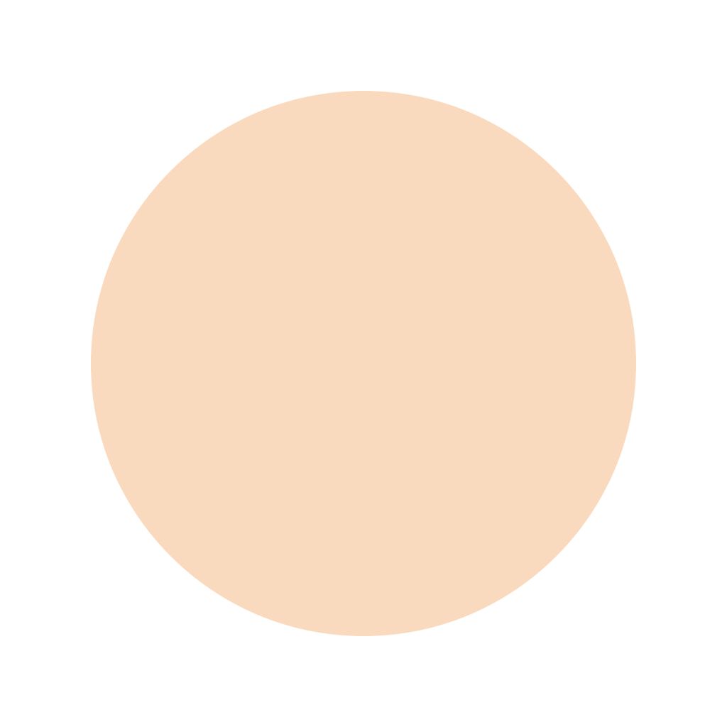 アルビオン シュクルホワイト パウダレスト 010 (レフィル)