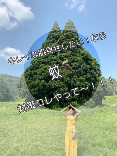 ご覧いただきありがとうございます🤍

キレイな肌見せをしたいのに

知らない間に蚊に刺されてた😭

なーんてこと、この季節にはよくありますよね💭

私は何年か前にTVで観てこの方法を実践するように
なっ