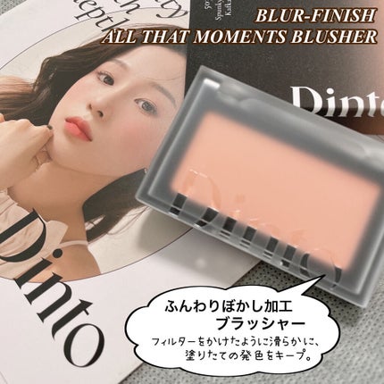 ブラーフィニシュシャドウパレット/Dinto/アイシャドウパレットを使ったクチコミ(6枚目)