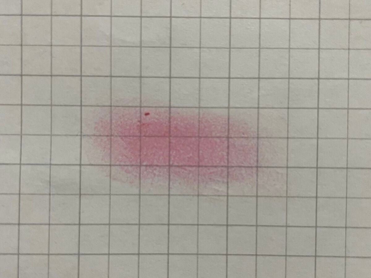 インジーニアス パウダーチークス N/RMK/パウダーチークを使ったクチコミ(2枚目)