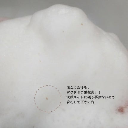 ドクダミ弱酸性フォームクレンジング/ONE THING/洗顔フォームを使ったクチコミ(7枚目)