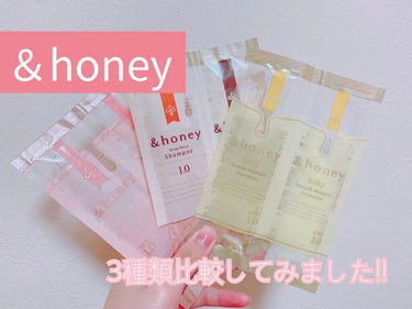 ディープモイスト シャンプー1.0／ヘアトリートメント2.0/&honey/シャンプー・コンディショナーを使ったクチコミ（1枚目）