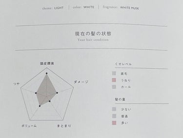 MEDULLA シャンプー／リペア LIGHT/MEDULLA/シャンプー・コンディショナーを使ったクチコミ（2枚目）