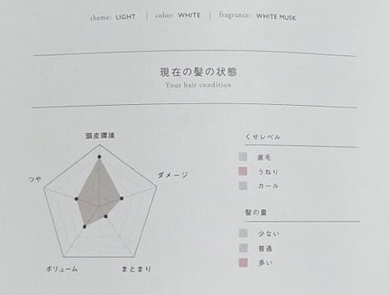 MEDULLA シャンプー/リペア/MEDULLA/シャンプー・コンディショナーを使ったクチコミ(2枚目)