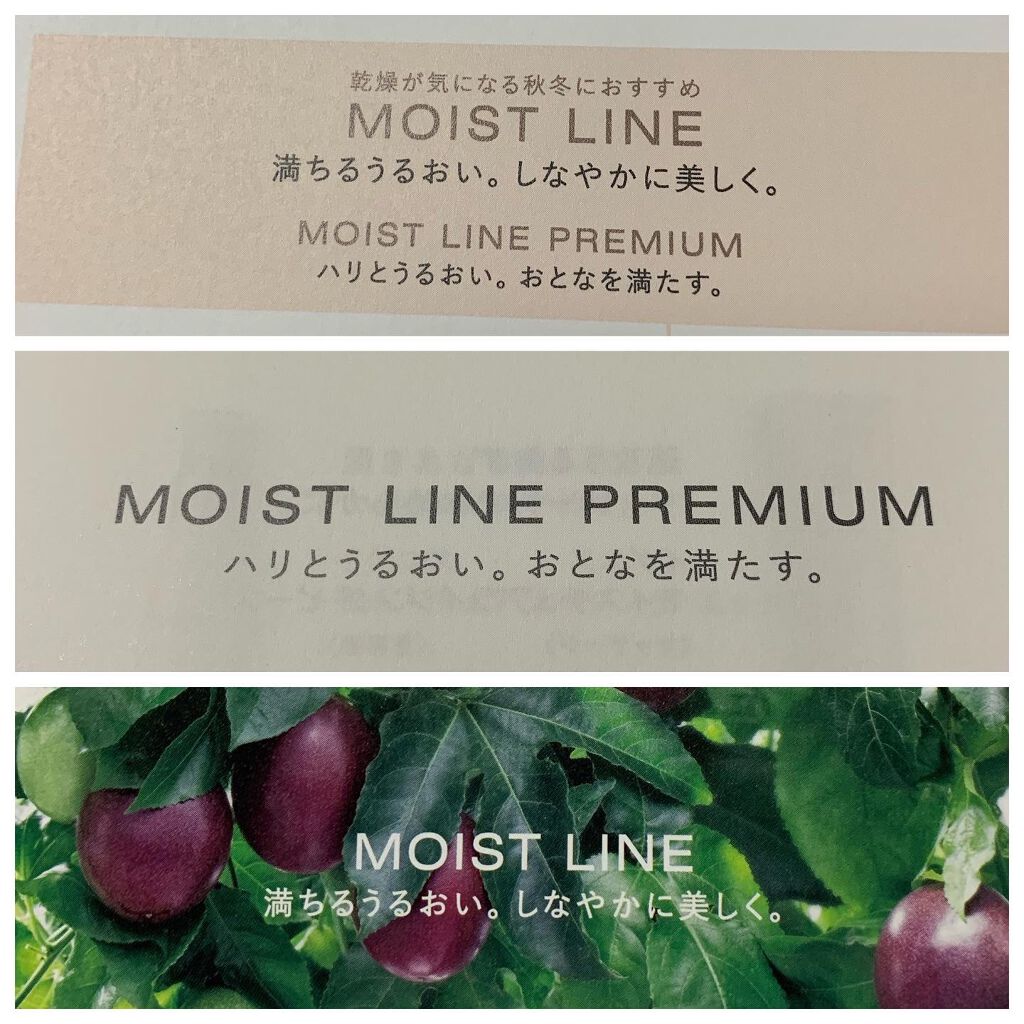 コットン/IGNIS/コットンを使ったクチコミ(10枚目)