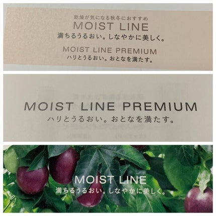 コットン/IGNIS/コットンを使ったクチコミ(10枚目)