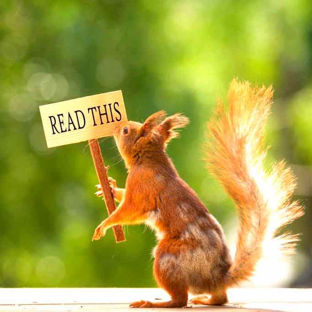 ハトムギ化粧水(ナチュリエ スキンコンディショナー R )/ナチュリエ/化粧水を使ったクチコミ（1枚目）