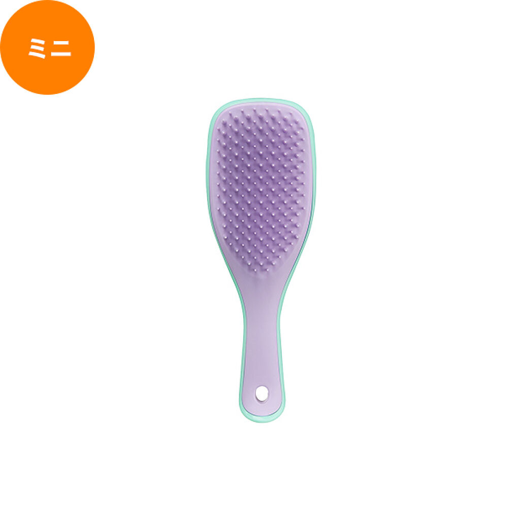 タングルティーザー ザ・アルティメットディタングラー ミニ / TANGLE TEEZER
