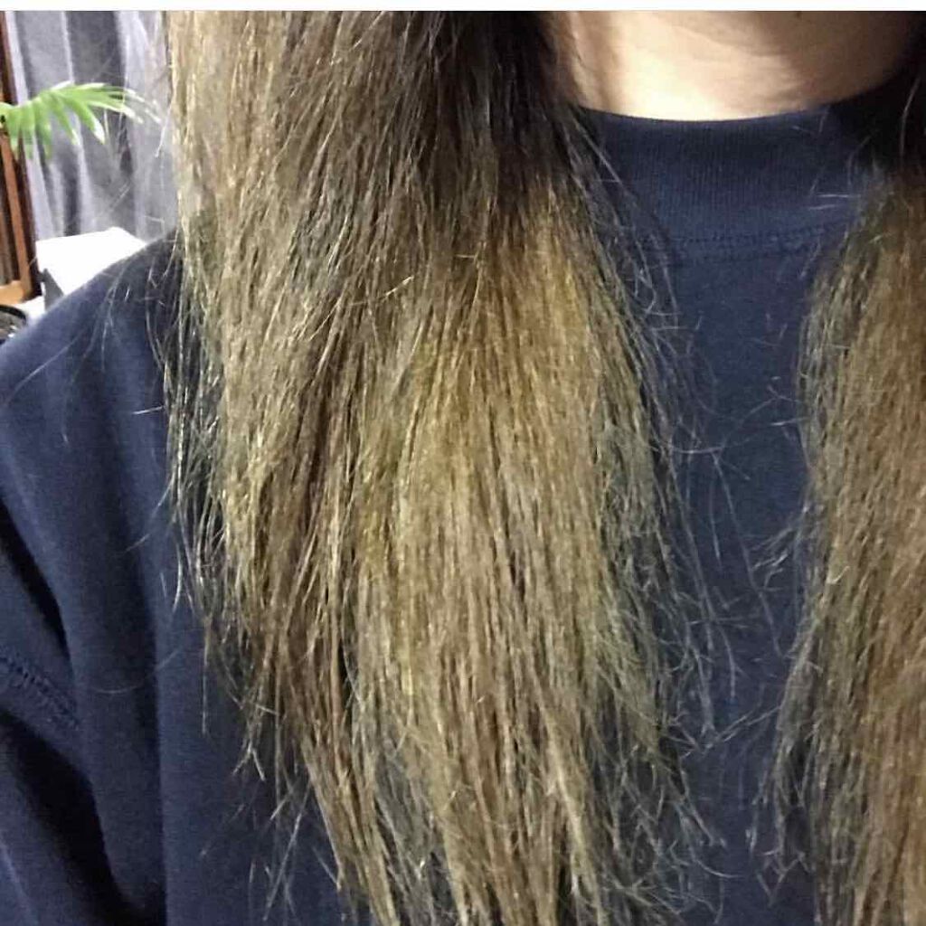 エブリ カラートリートメント アンナドンナの口コミ 以前グラデーションヘアでブリーチしてた時に By しゃい 乾燥肌 30代後半 Lips エブリ カラートリートメント アンナドンナの口コミ 以前グラデーションヘアでブリーチしてた時に By しゃい 乾燥肌 30代後半 Lips