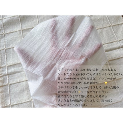 ã¢ã€ã¹ããªãã©ã³ã ããã£ããŒããŒN ããªãŒãºããŒã/ã®ã£ãããŒ/ããã£ã·ãŒãã䜿ã£ãã¯ãã³ãïŒ2æç®ïŒ