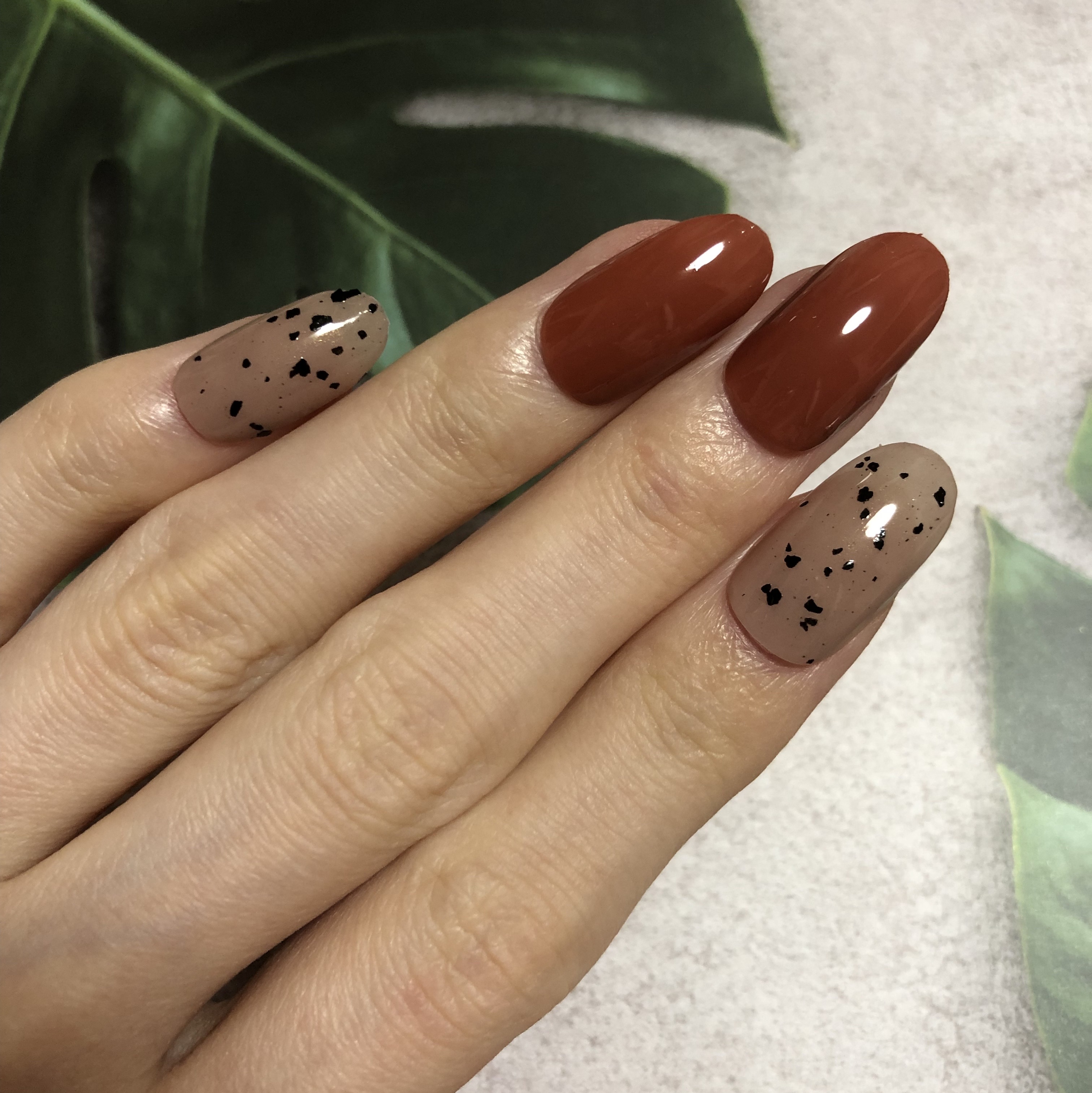 ジーニッシュ/ジーニッシュマニキュア/マニキュアを使ったクチコミ（3枚目）