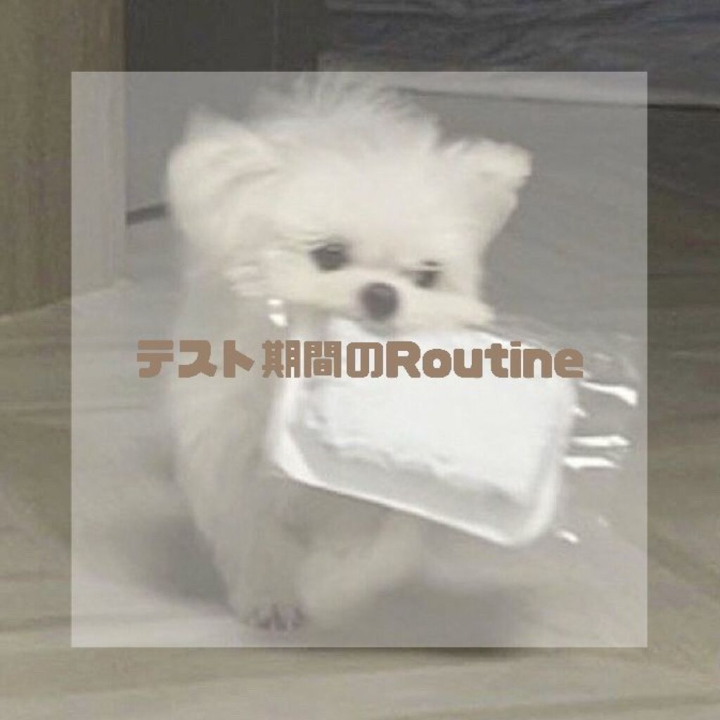 クリアウォッシュ/オルビス/洗顔フォームを使ったクチコミ（1枚目）