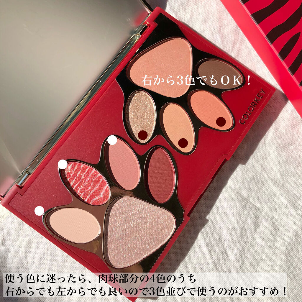 トラ十色アイシャドウパレット/COLORKEY/アイシャドウパレットを使ったクチコミ（2枚目）