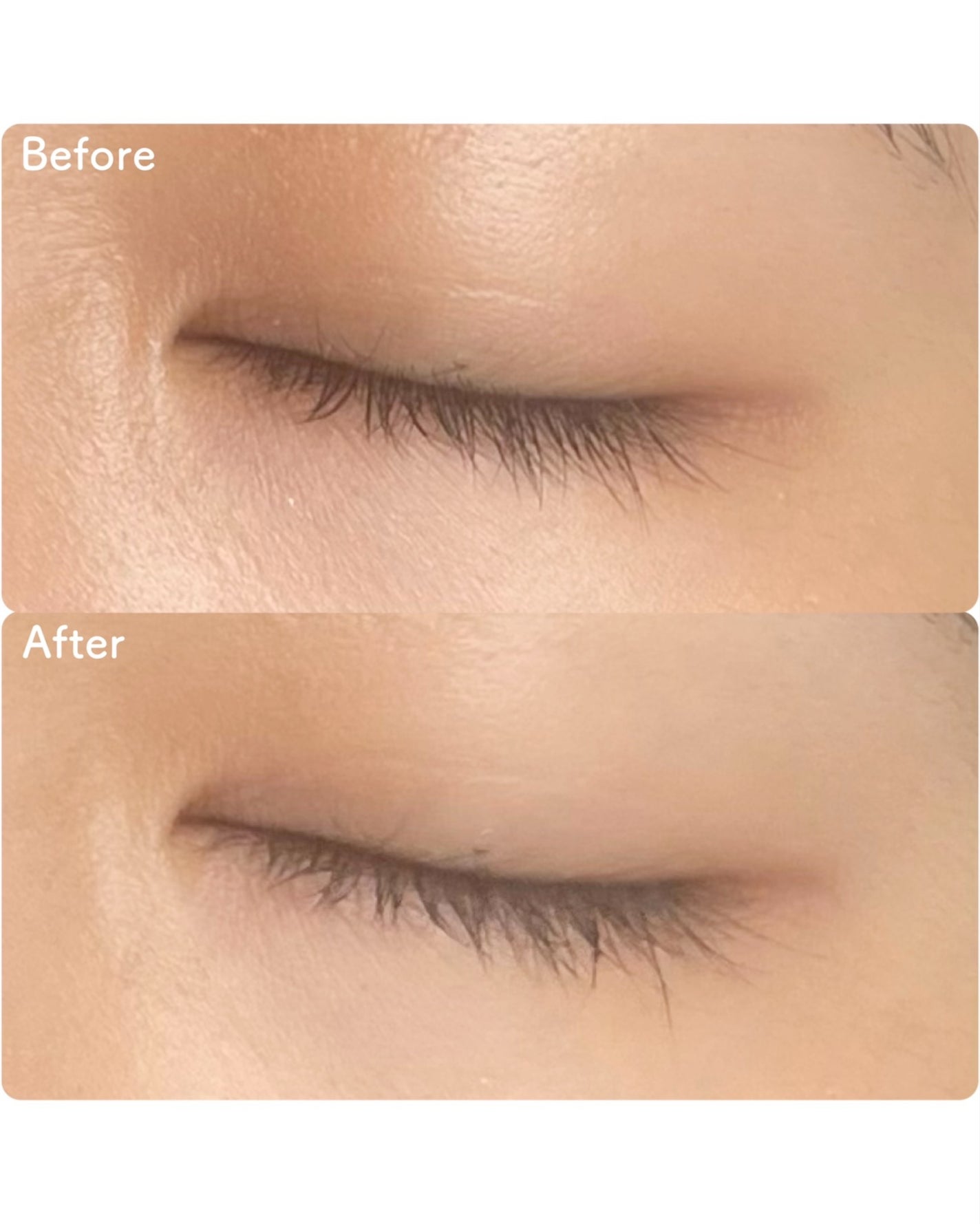 デリケートシルクベールアートプライマー/TFIT/化粧下地を使ったクチコミ(2枚目)