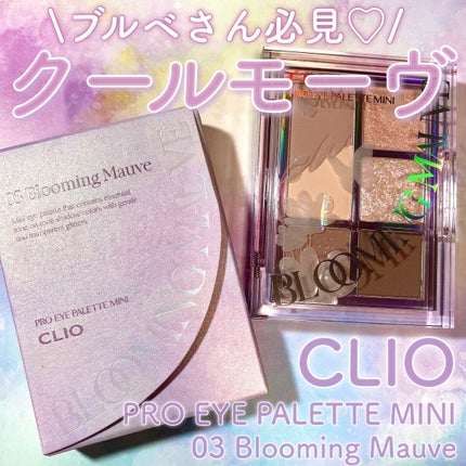 プロ アイパレット ミニ/CLIO/アイシャドウパレットを使ったクチコミ(1枚目)