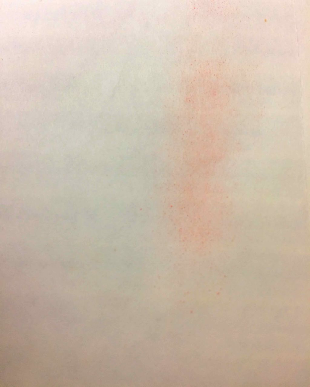 チーク カラー(ブラシ付)/ちふれ/パウダーチークを使ったクチコミ(2枚目)