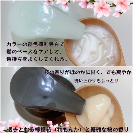 カラーケア&ベーストリートメント in シャンプー/コンディショナー/いち髪/市販シャンプーを使ったクチコミ(2枚目)