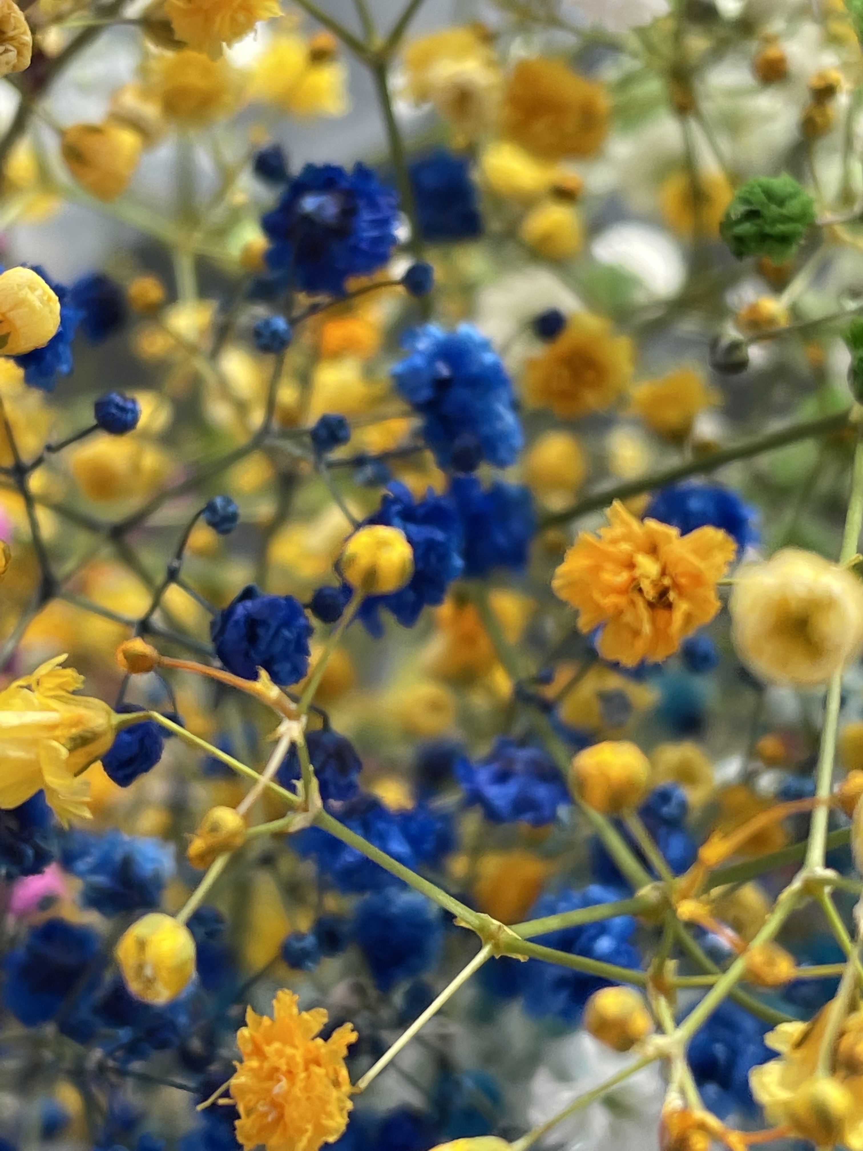 ボディファンタジー ボディスプレー フレンチペアー 50mL 旧パッケージ/ボディファンタジー/香水(レディース)を使ったクチコミ（2枚目）