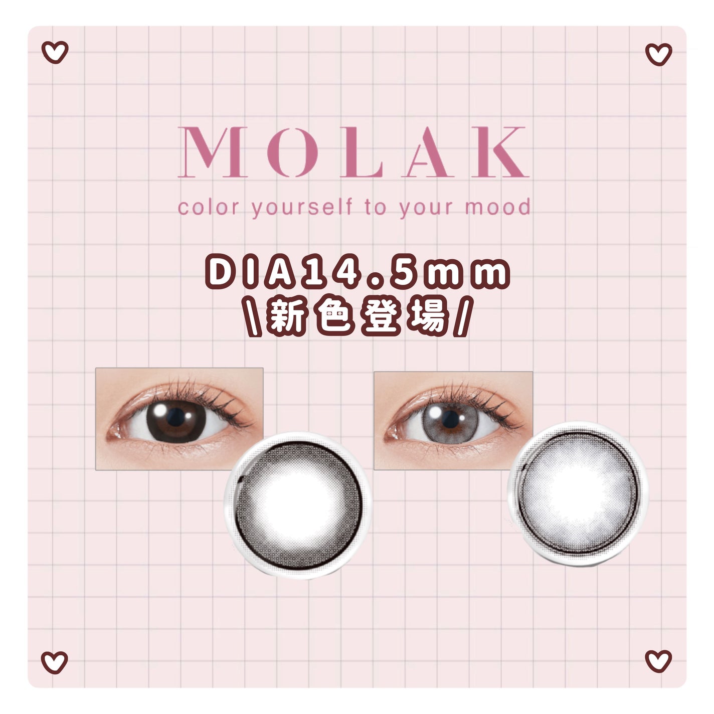 MOLAK 1day/MOLAK/ワンデー(1DAY)カラコンを使ったクチコミ(1枚目)