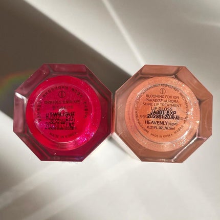 パラダイスオーロラシャインリップトリートメント/DEAR DAHLIA/リップグロスを使ったクチコミ(6枚目)