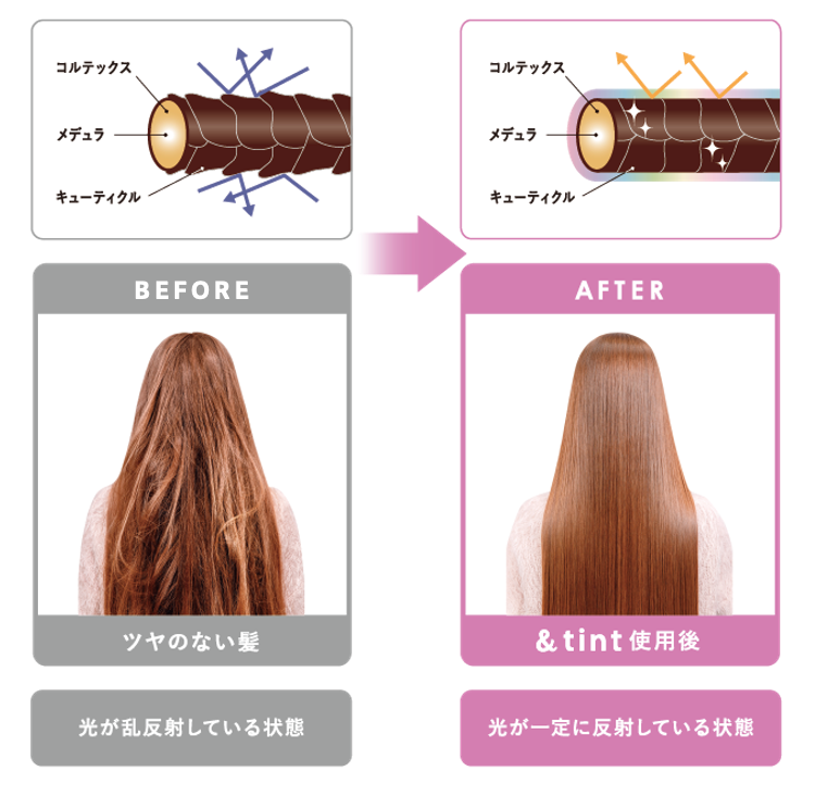 &tint(アンドティント)から「シナモロール 限定デザイン」が数量限定で登場!の画像