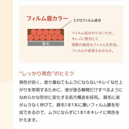 フィルム眉カラー/デジャヴュ/眉マスカラを使ったクチコミ(4枚目)