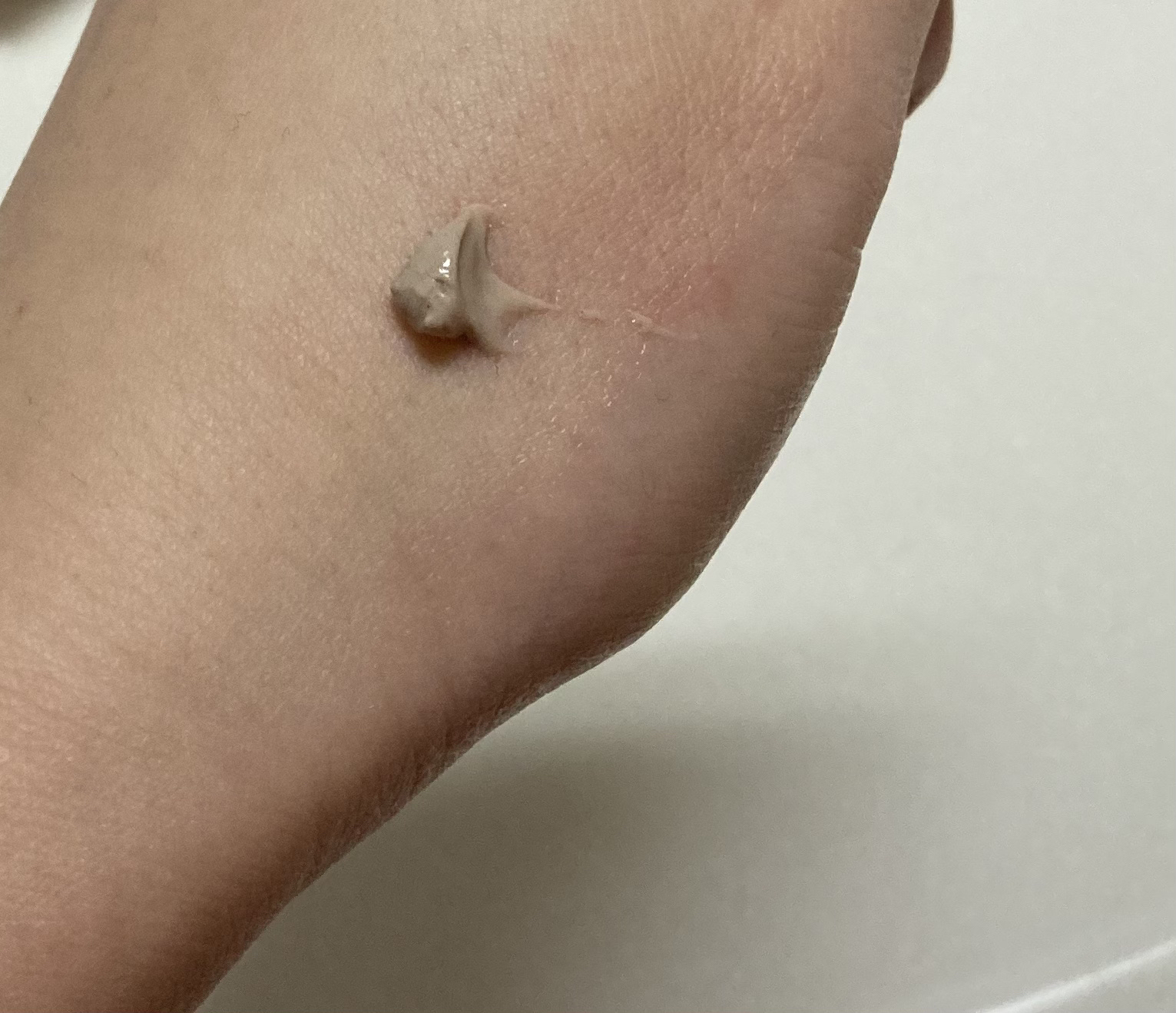 パセリーシード クレンジングマスク/Aesop/洗い流すパック・マスクを使ったクチコミ（2枚目）