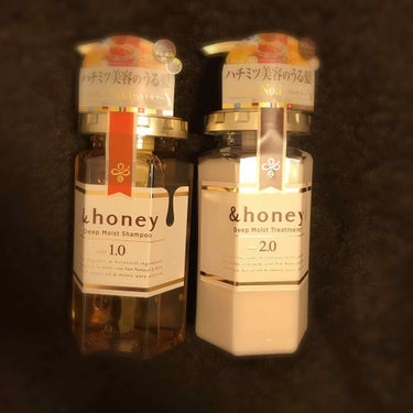 ディープモイスト シャンプー1.0／ヘアトリートメント2.0/&honey/シャンプー・コンディショナーを使ったクチコミ（1枚目）