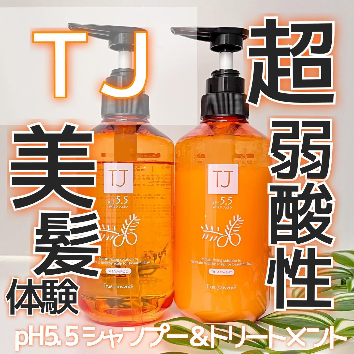 TJ pH5.5 シャンプー＆トリートメント/True jouvencE/市販シャンプーを使ったクチコミ（1枚目）