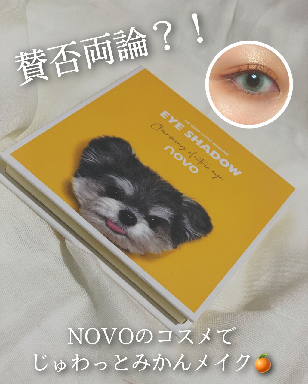 【旧】ディオールスキン ルージュ ブラッシュ 643 スタンド アウト/Dior/パウダーチークを使ったクチコミ（1枚目）