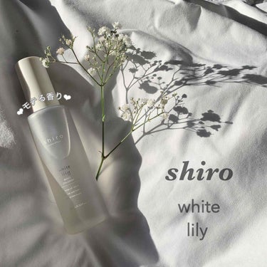 【モテる香り！？】

︎︎◽shiro  white lily (ホワイトリリー) ボディコロン◽

__________________________

皆さんこんにちは🕊うるです

今回は､ずっっ