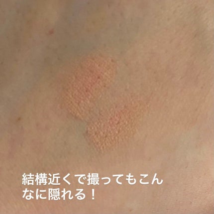 カバーパーフェクション チップコンシーラー/the SAEM/リキッドコンシーラーを使ったクチコミ(4枚目)