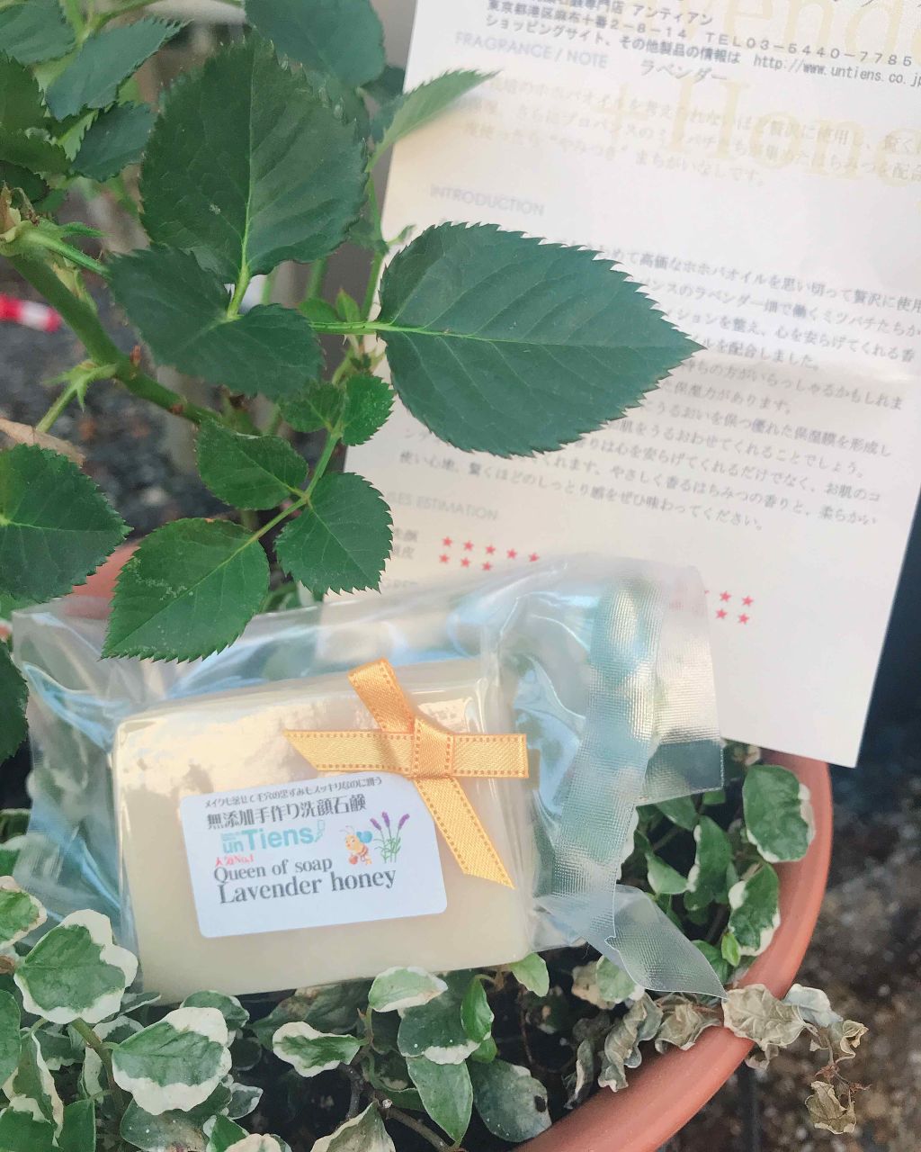 手作り洗顔石鹸 アンティアン クイーン オブ ソープ 「ラベンダーハニー」/アンティアン/洗顔石鹸を使ったクチコミ(2枚目)