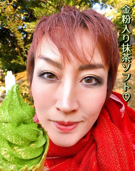 レ キャトル オンブル/CHANEL/アイシャドウパレットを使ったクチコミ(9枚目)