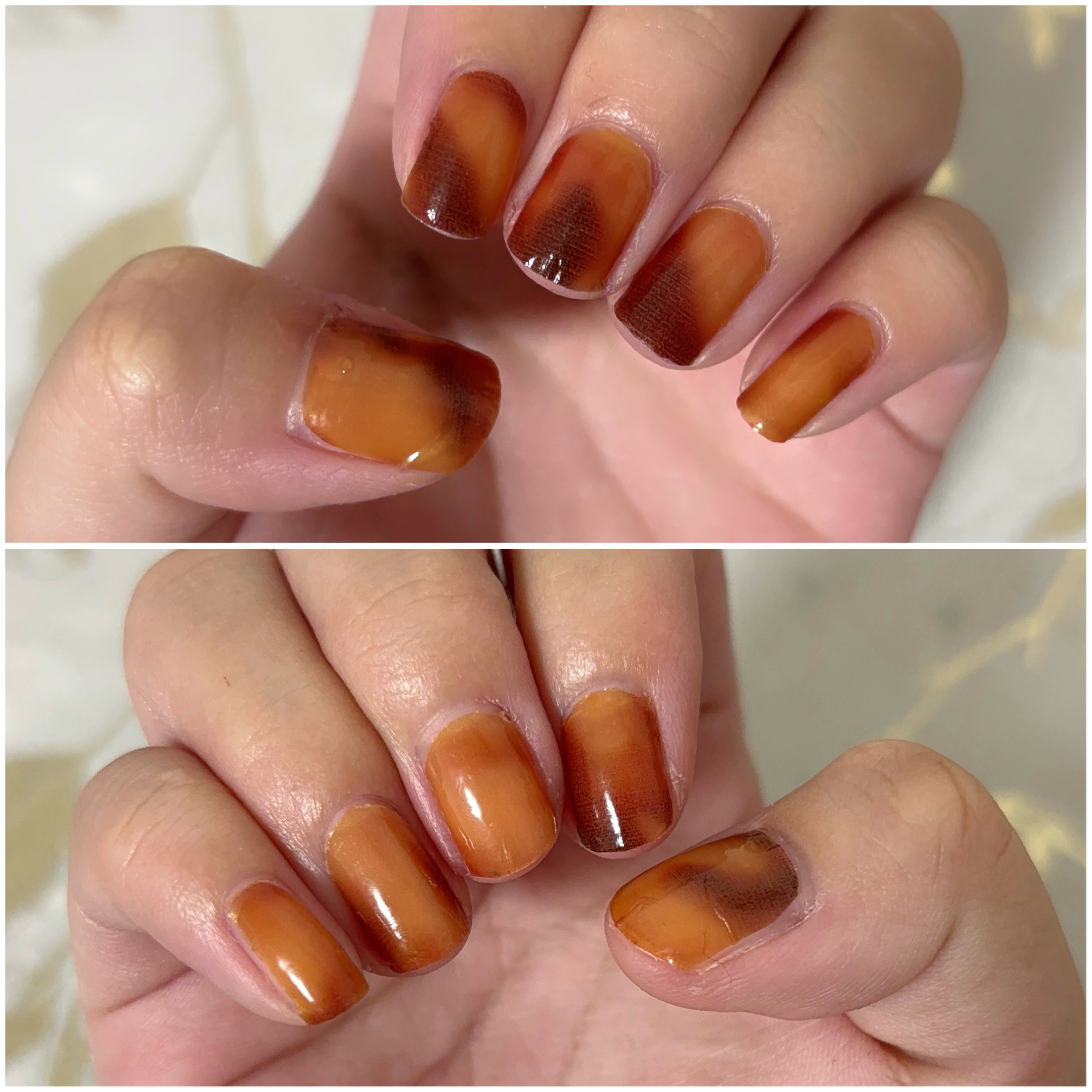 INCOCO インココ  マニキュアシート タイガーアイ(Tiger Eye)/インココ/ネイルシールを使ったクチコミ（3枚目）