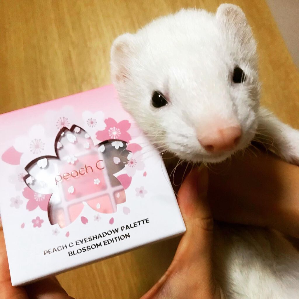 アイシャドウパレット ブロッサムエディション/Peach C/アイシャドウパレットを使ったクチコミ(1枚目)