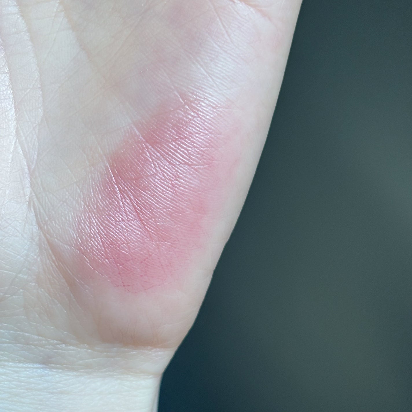 ノーウェアリップスティックバーミンググロー/espoir/口紅を使ったクチコミ(5枚目)