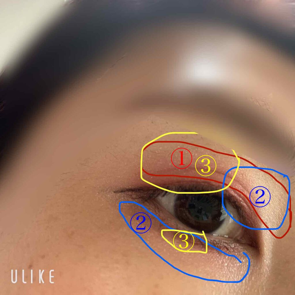 ナイストゥミーチュートランク/MAJOLICA MAJORCA/アイシャドウパレットを使ったクチコミ(3枚目)