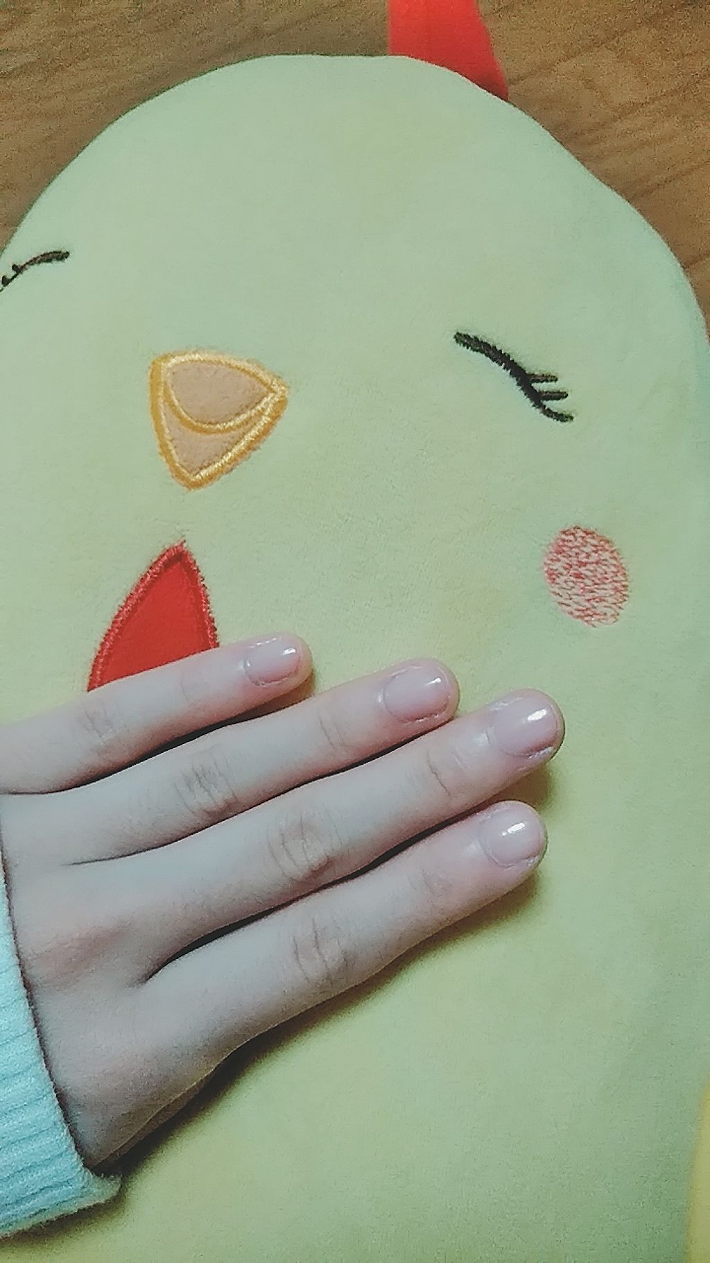 オールインケアコート/ネイリスト/オールインワンネイルを使ったクチコミ（2枚目）