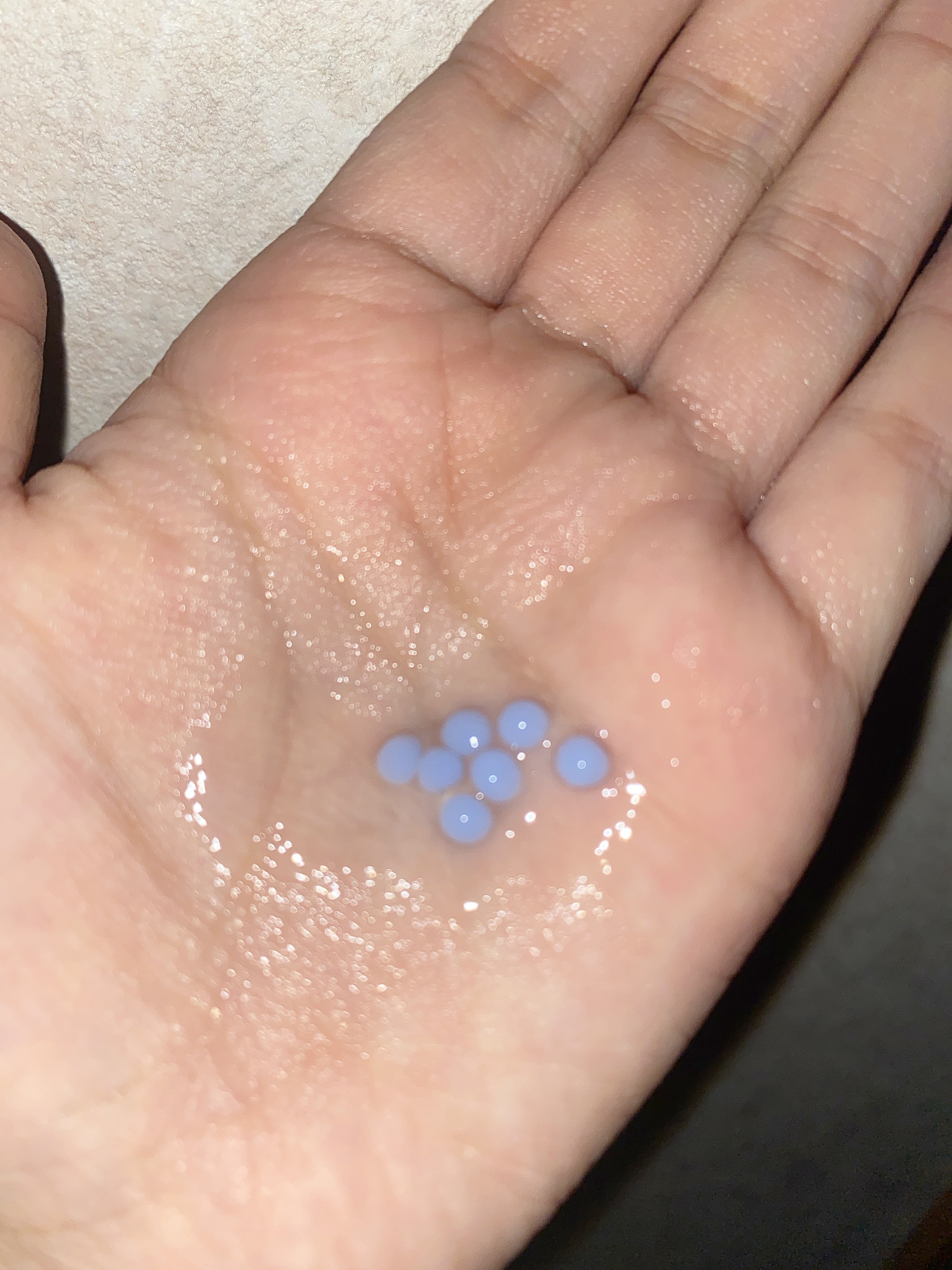 H2シャンプー/カプセル/トリートメント /Exchange+/サロンシャンプーを使ったクチコミ（3枚目）