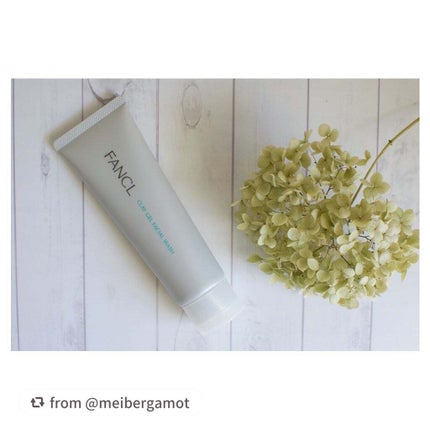 泥ジェル洗顔/ファンケル/その他洗顔料を使ったクチコミ(3枚目)