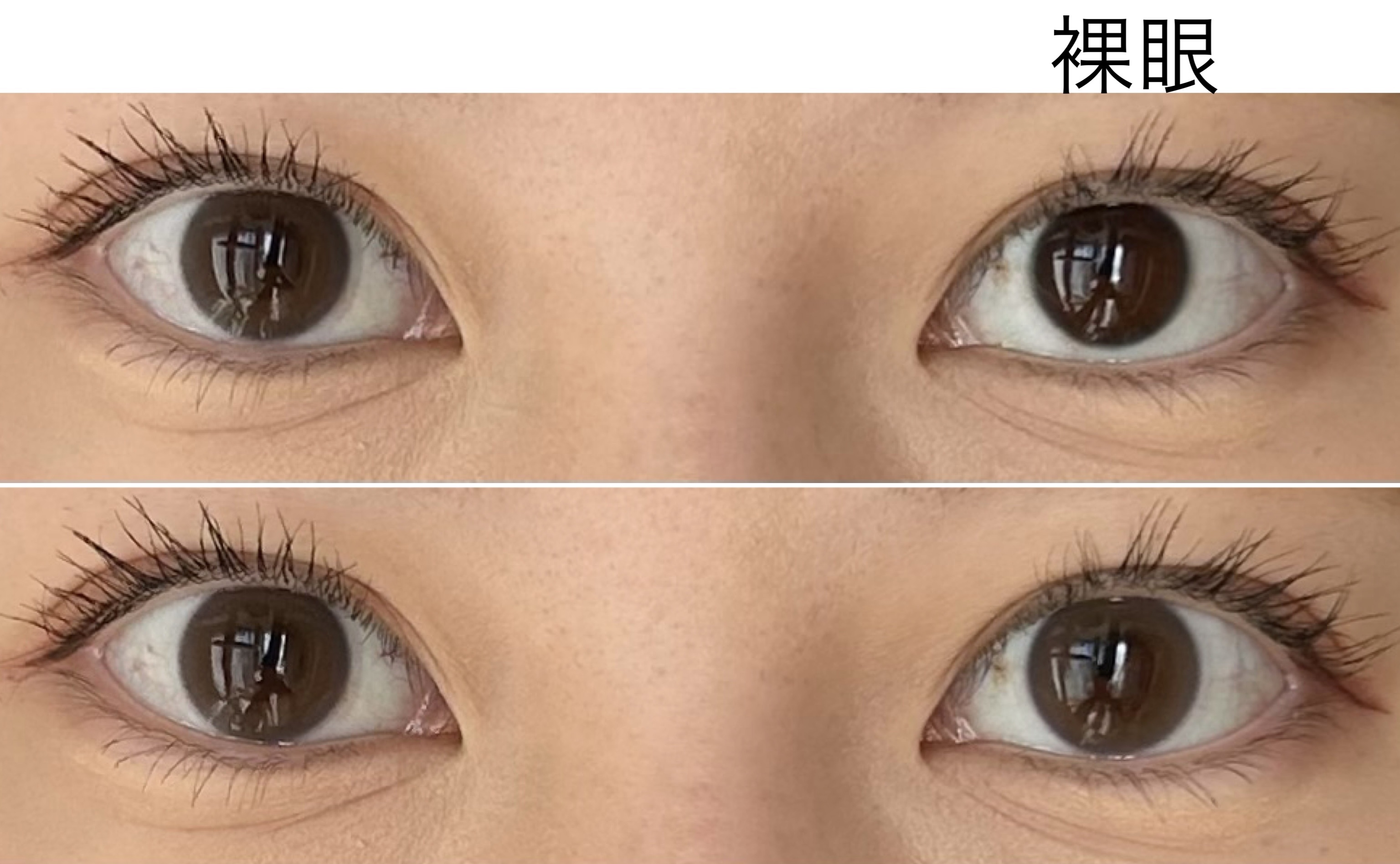 efos 1day デイリーモーヴ/efos/ワンデー（１DAY）カラコンを使ったクチコミ（2枚目）