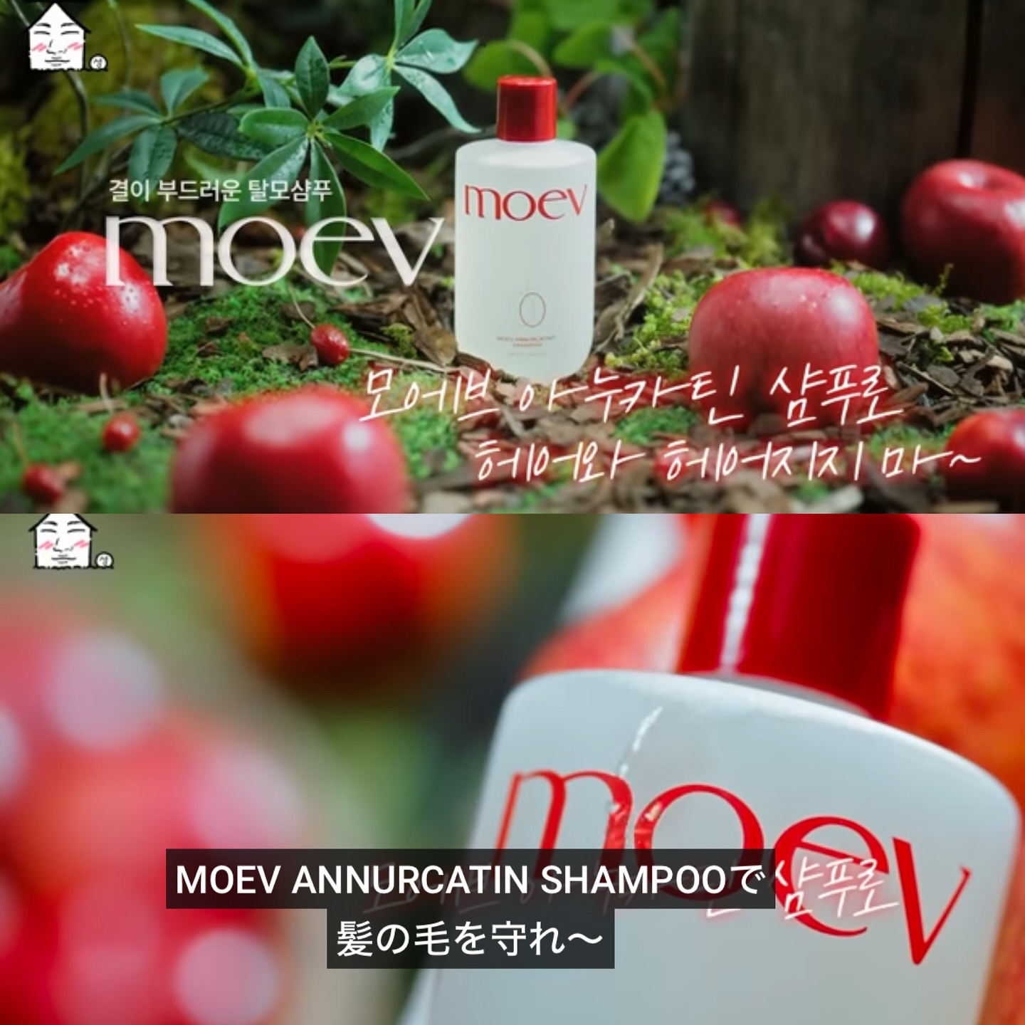 モエブ アヌカチン シャンプー/トリートメント/moev/市販シャンプーを使ったクチコミ（3枚目）