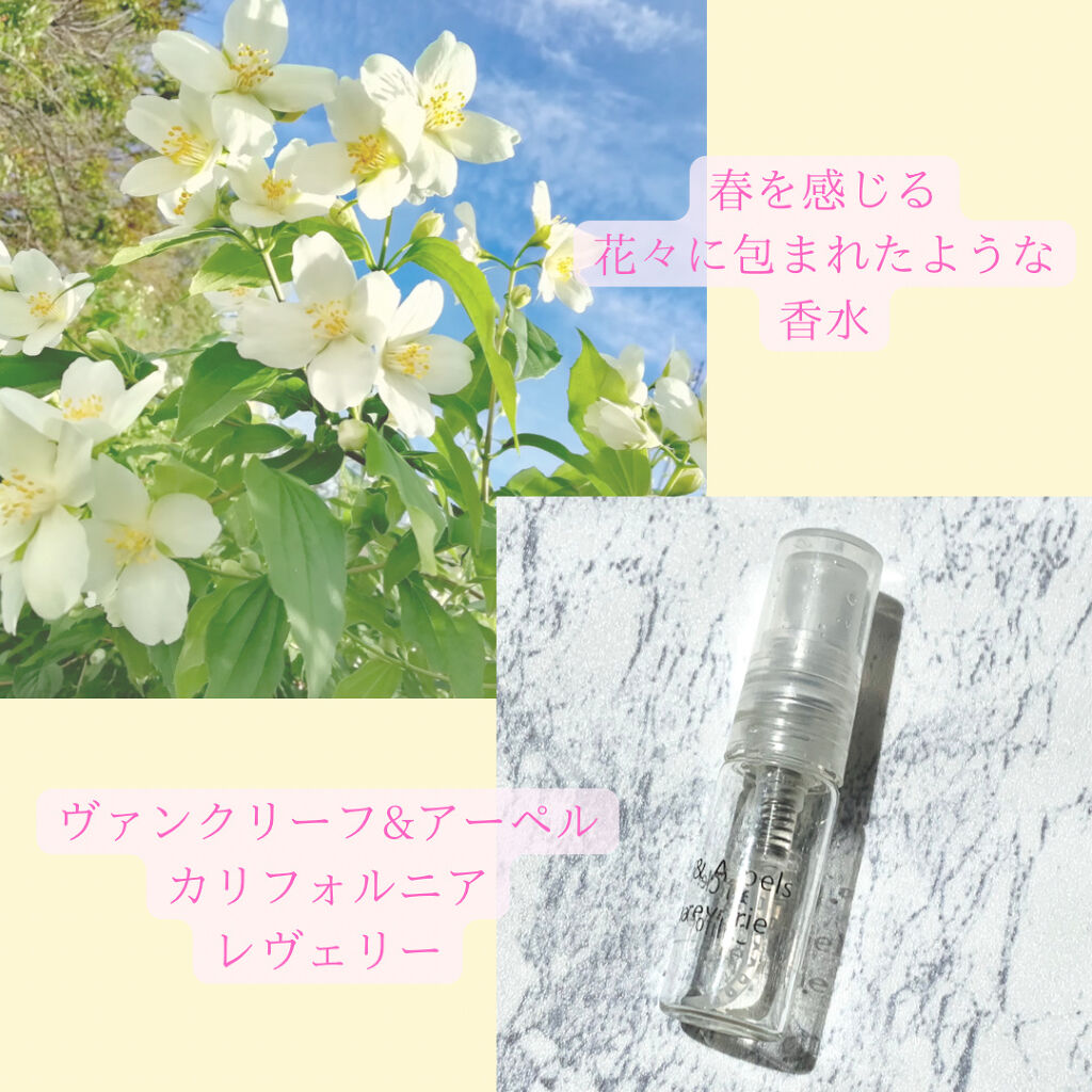 ヴァンクリーフ＆アーペル コレクシィオン エクストラオーディネー ボワ ディリス EDP・SP 75ml 香水 フレグランス COLLECTION EXTRAORDINAIRE BOIS D IRIS ヴァン クリーフ＆アーペル コレクション エクストラ