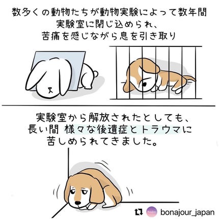 グリーンティーディープクレンジングウォーター/Bonajour/クレンジングウォーターを使ったクチコミ(5枚目)