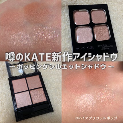 ケイト ポッピングシルエットシャドウ/KATE/アイシャドウパレットを使ったクチコミ(1枚目)