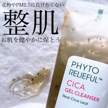 _

THANK YOU FARMER
PHYTO RELIEFUL CICA GEL CLEANSER
Real Cica Leaf
サンキューファーマー
フィトリリーフル シカジェルクレンザー
12