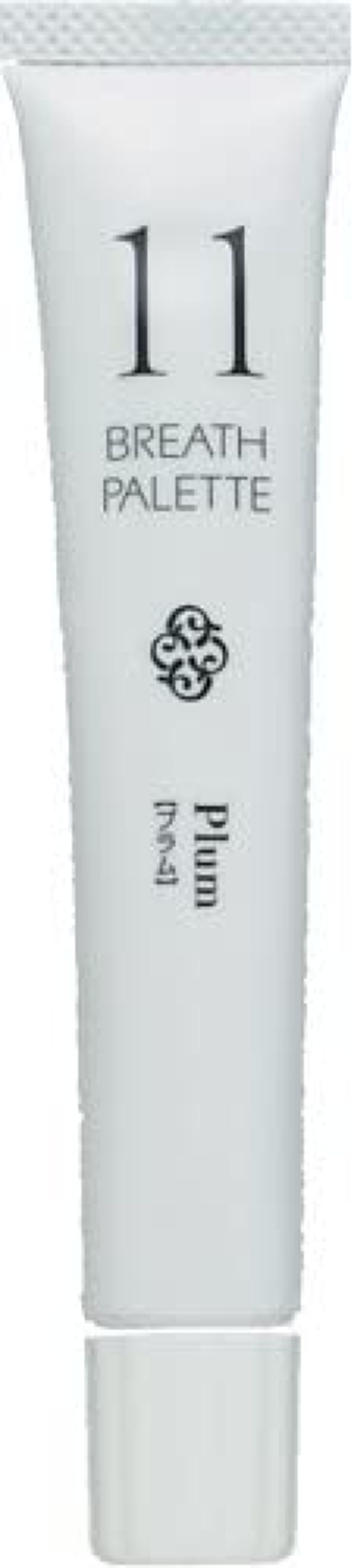 MJはみがき ブレスパレット 11 プラム