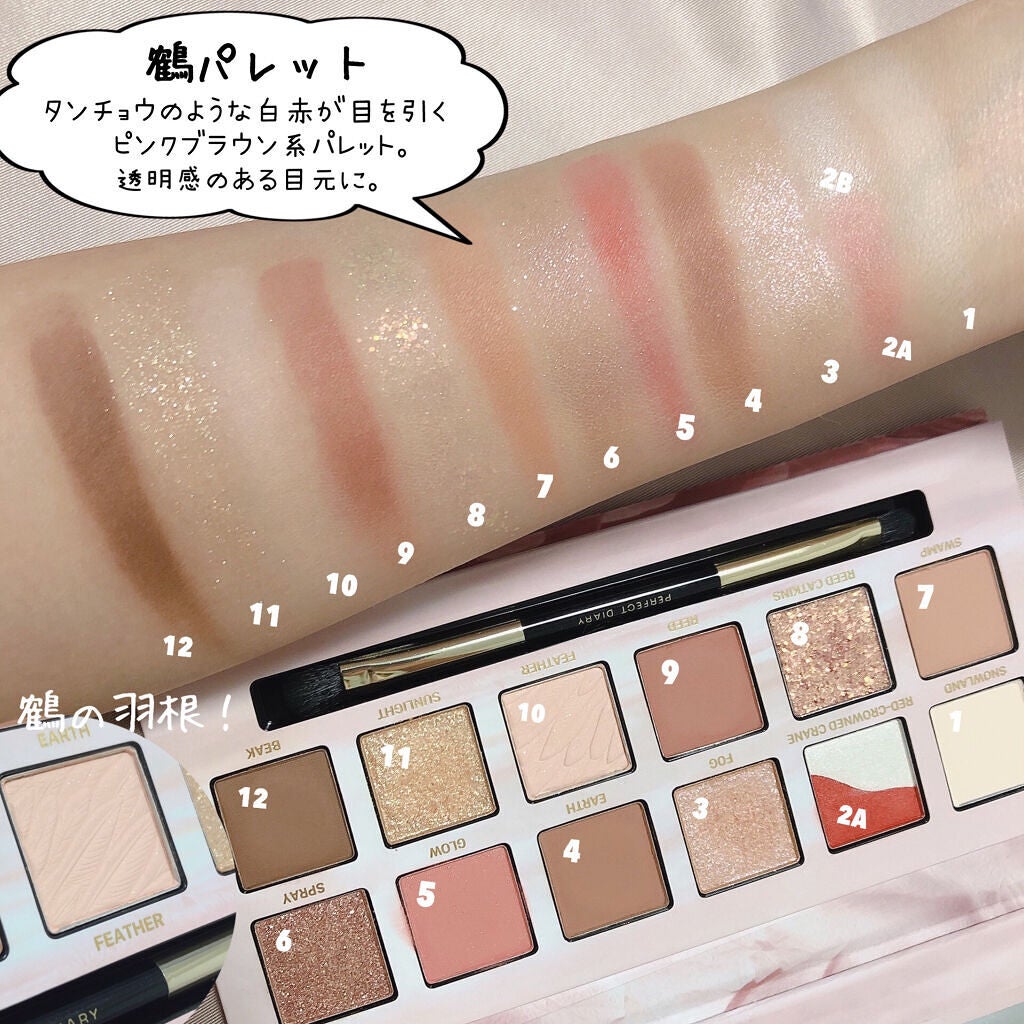 エクスプローラ12色 動物アイシャドウパレット/PERFECT DIARY/アイシャドウパレットを使ったクチコミ(8枚目)