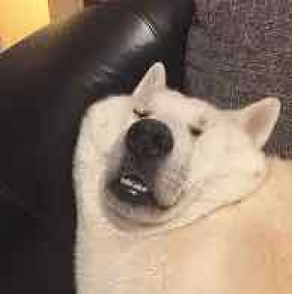 レ キャトル オンブル/CHANEL/アイシャドウパレットを使ったクチコミ(1枚目)